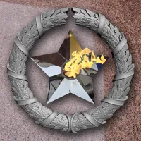 Венок вечный огонь чугун звезда нержавеющая сталь в Соколе (518577)